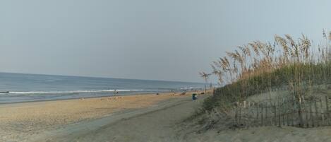 Ein sandiger Strand mit sanften Wellen, blauem Himmel und spärlicher Vegetation.
