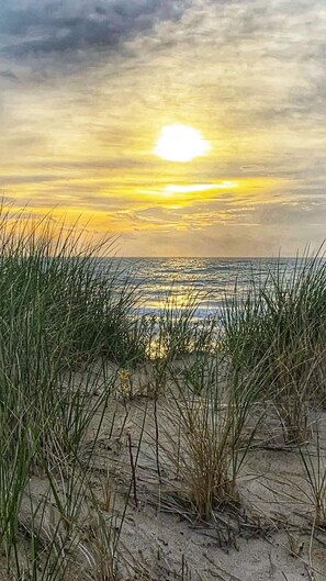 Beach nearby - OCEANVIEW CONDO:
Outer Banks Oceanside cozy 2-bedroom condo in Kill Devil Hills. (Kill Devil Hills)