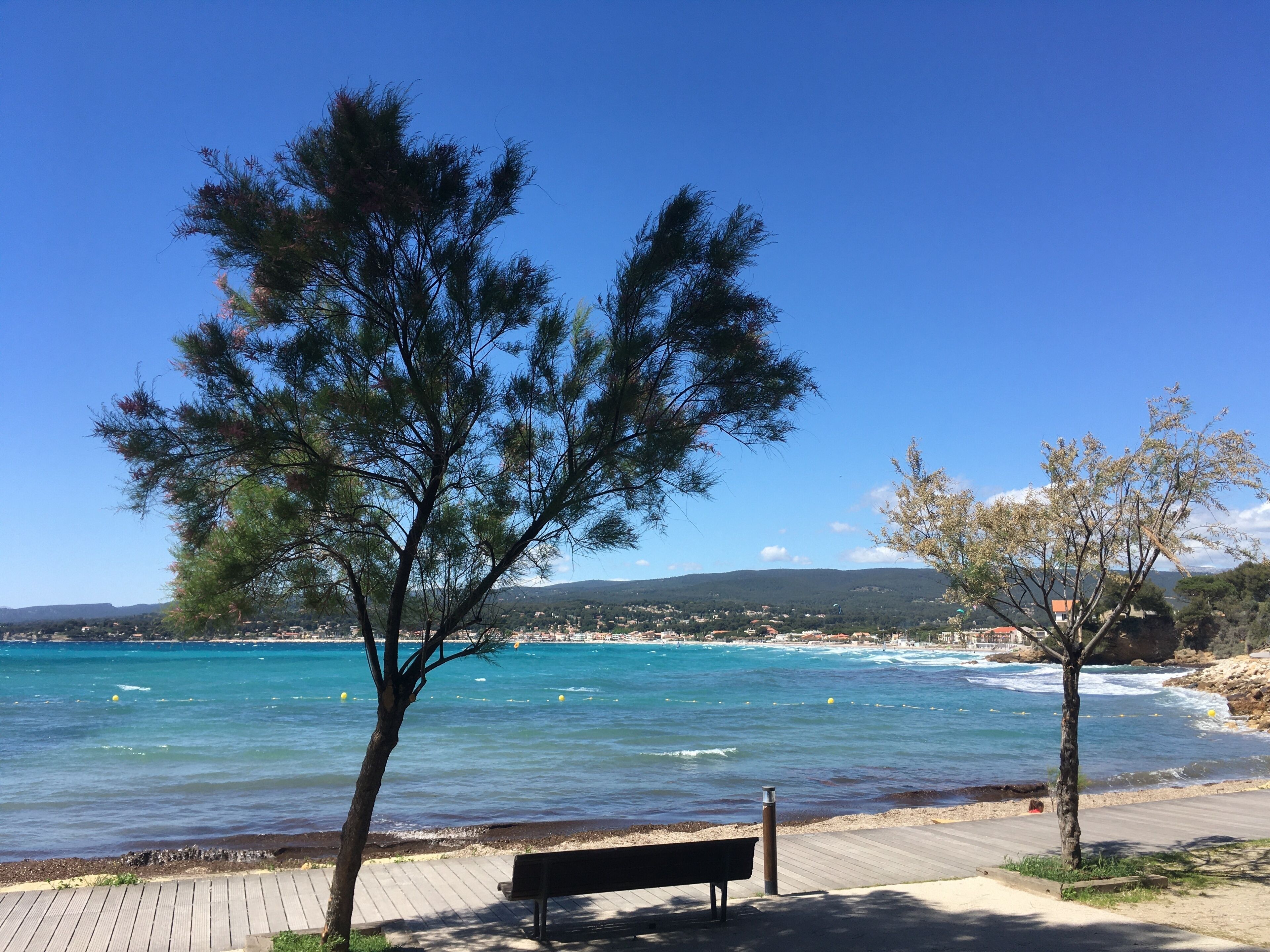 Un paseo marítimo con un banco, árboles y vistas al mar y colinas lejanas.