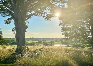 Uklassifisert bilde, 3 av 29, knapp