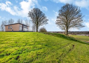 A modern house with a sloped roof, large windows, and a grassy yard with two trees.