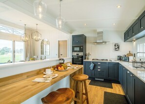Fridge, oven, stovetop, toaster
