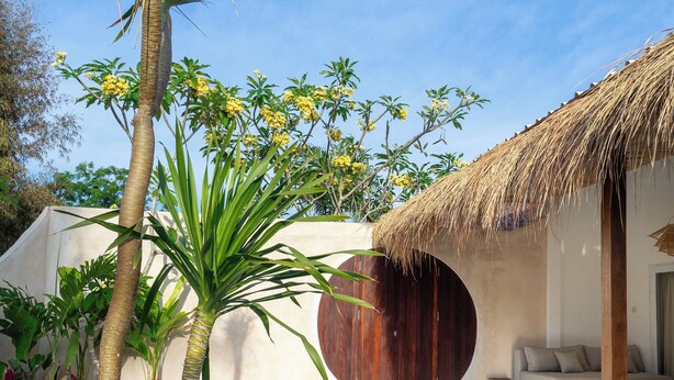 A pool with a tree in the center, a thatched-roof structure, and a sofa with cushions. - Wellhouse Villas (Lembongan Island)