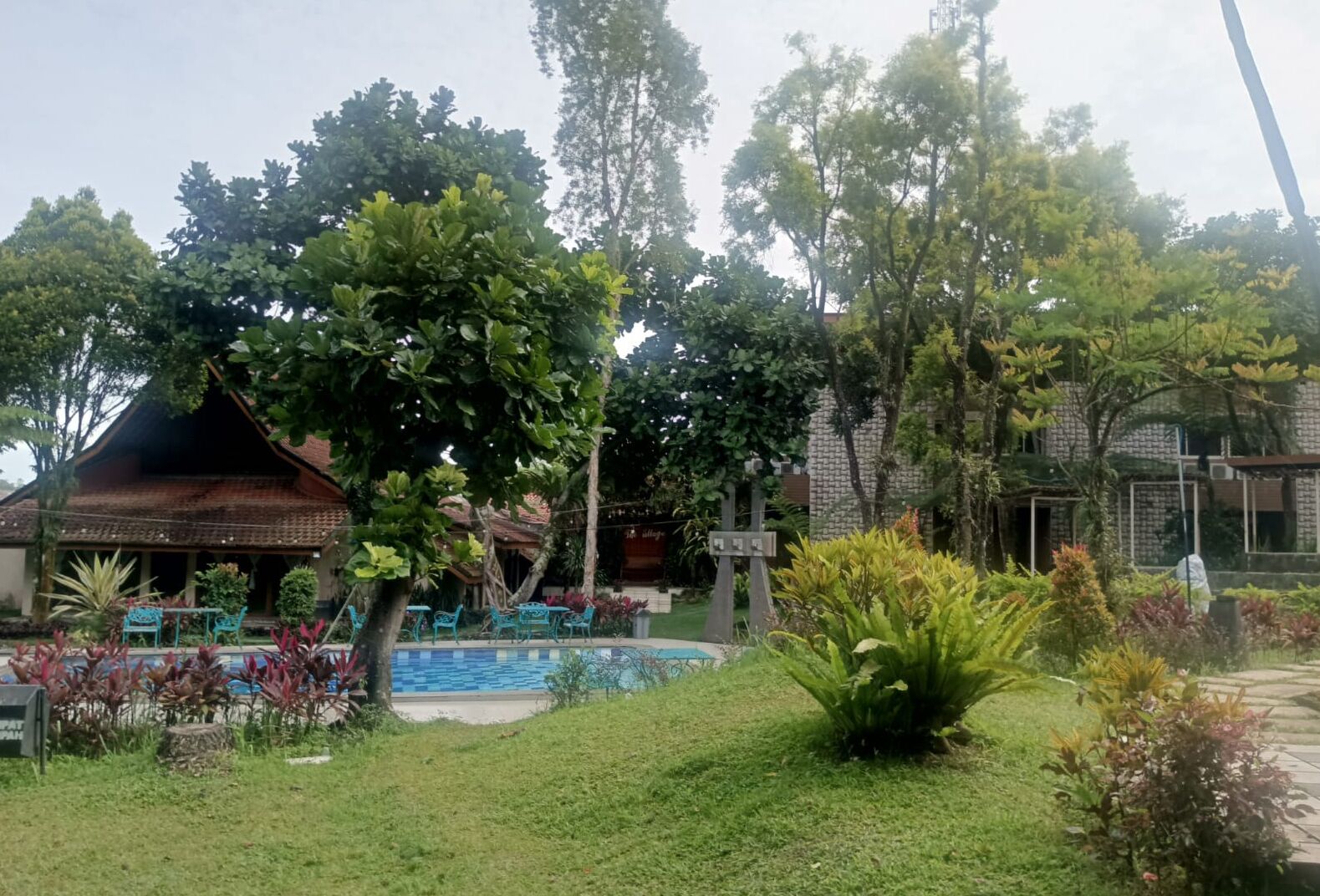 Taman