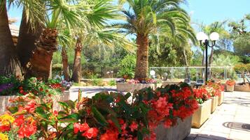 Terrein van de accommodatie