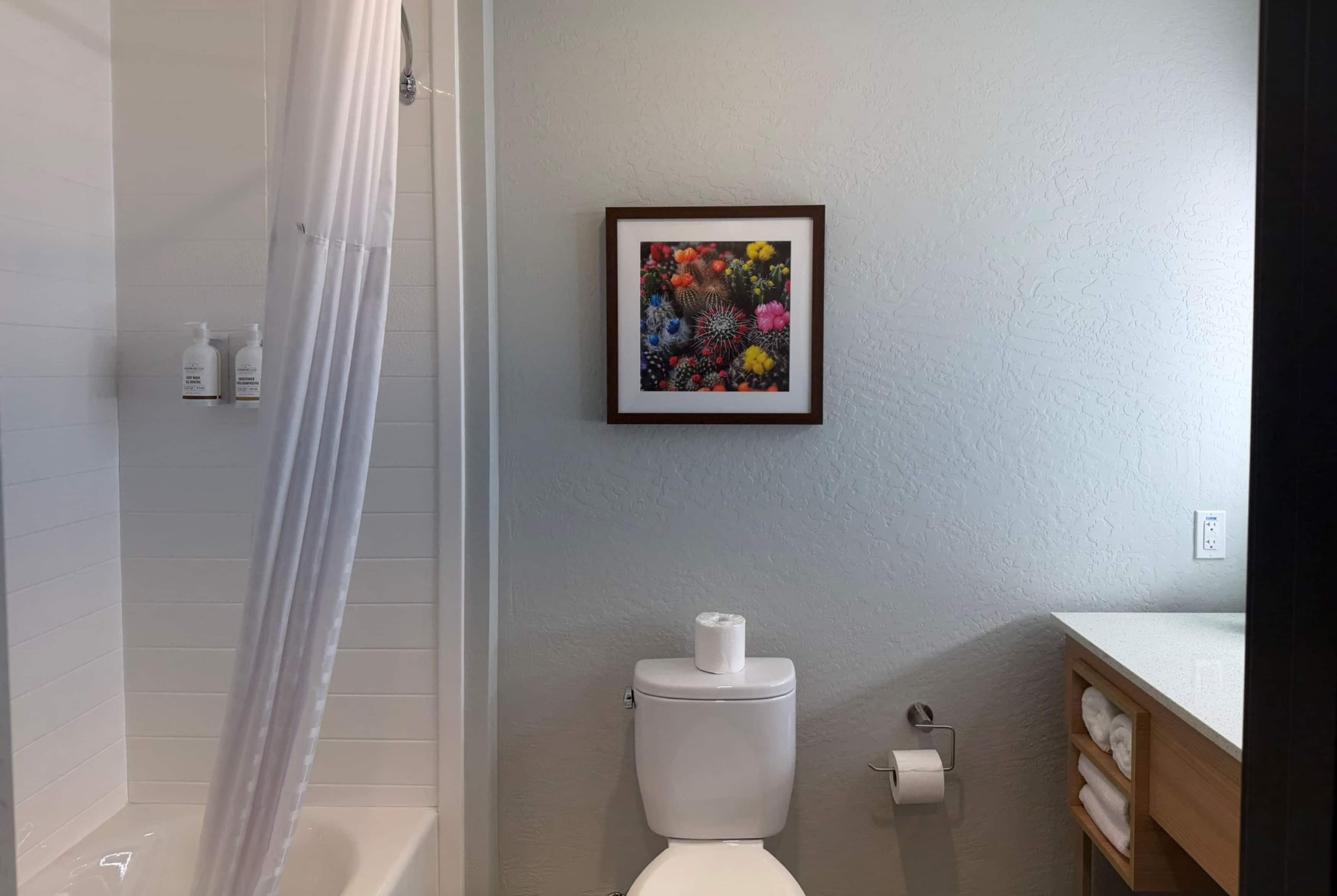 A bathroom with a shower, toilet, and a framed picture on the wall.