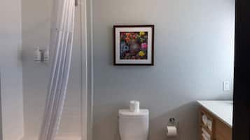 A bathroom with a shower, toilet, and a framed picture on the wall.