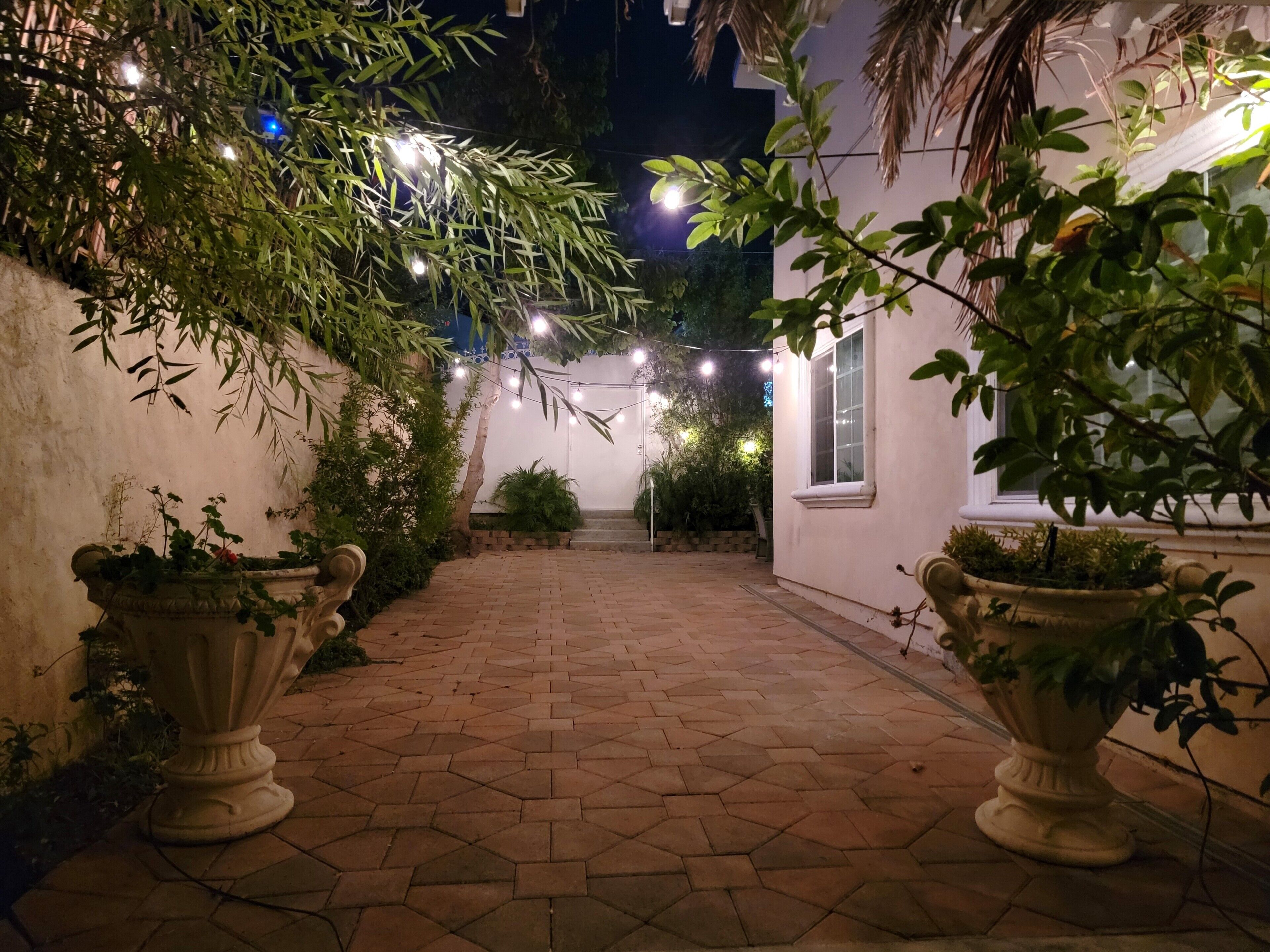 A paved courtyard with a white wall, potted plants, and string lights.