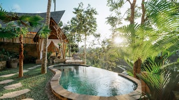 Indoor pool, free pool cabanas, pool loungers
