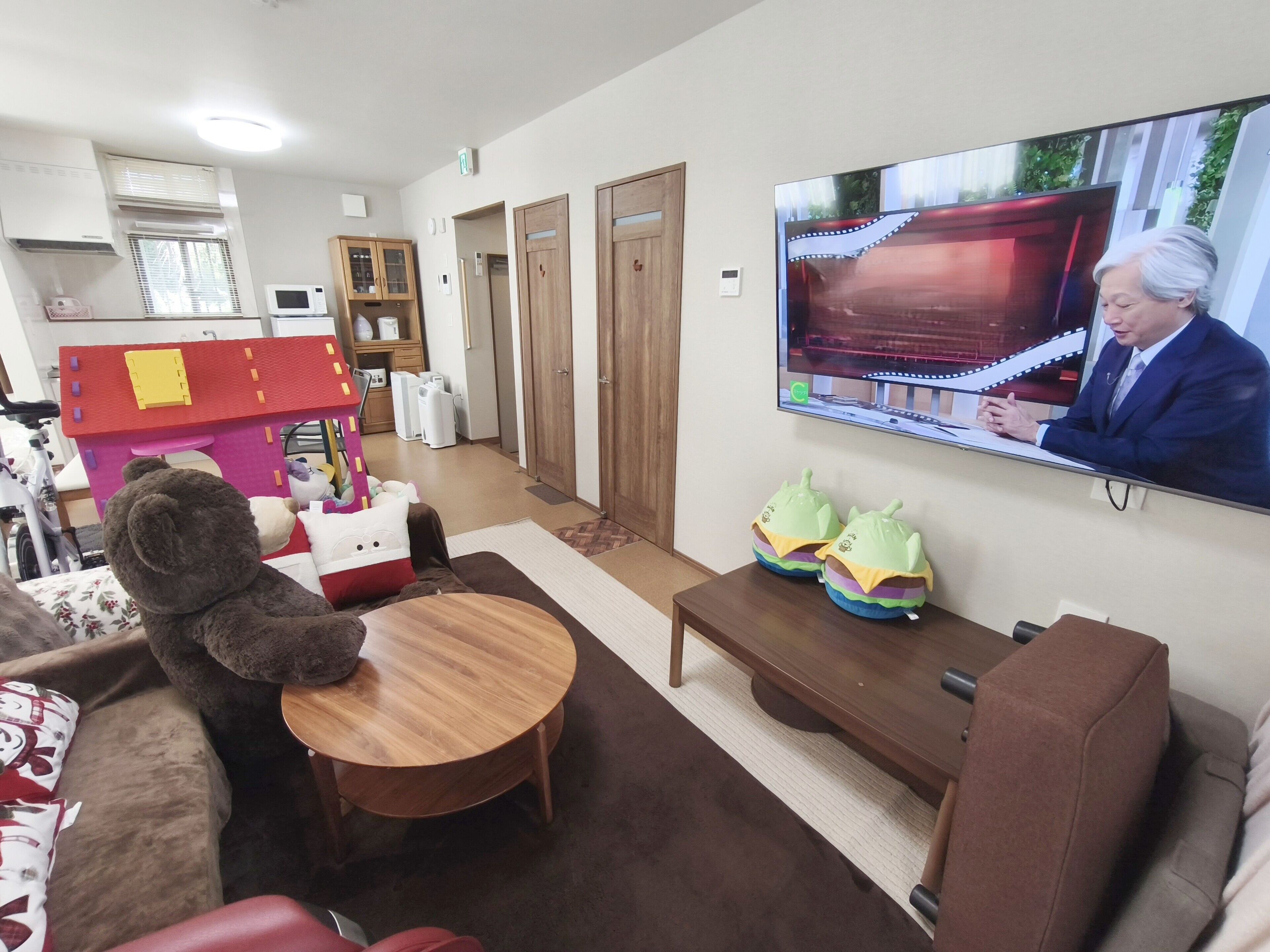 Fernseher, Computerbildschirme