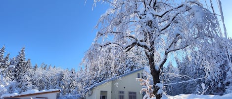 Exteriör