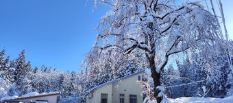 2min walk to Maiko Ski Resort 1 group only pets ok