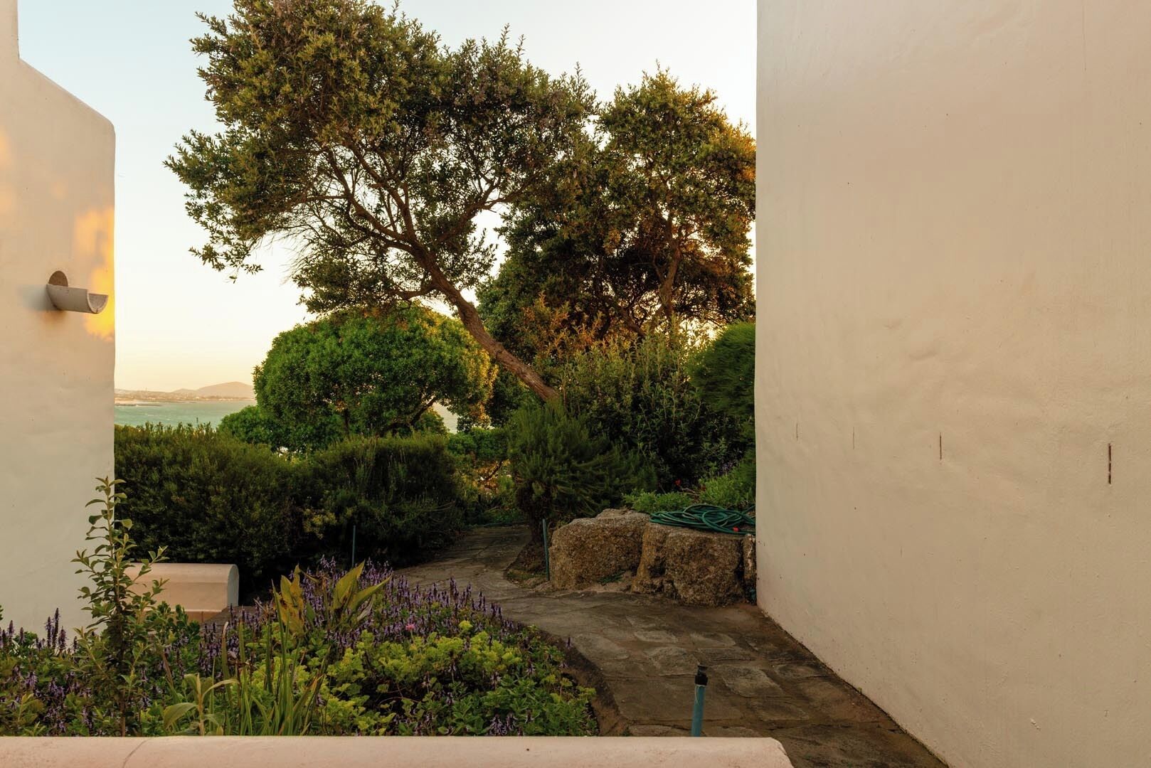 A narrow pathway leading to a scenic view of a body of water, surrounded by lush greenery and a large tree.