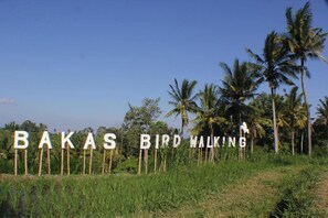 Land view from property