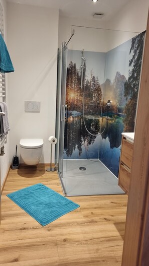 Shower, hair dryer, towels