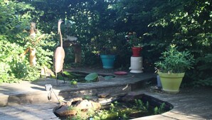 A garden with a pond, wooden deck, and various potted plants.