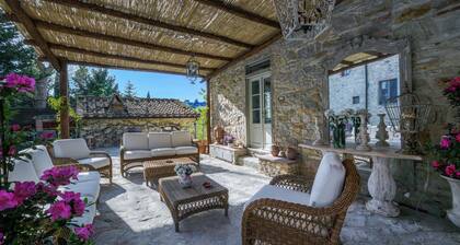Villa Chianti With Exclusive Pool And Typical Barn