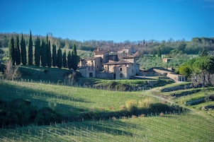 Vista desde la propiedad