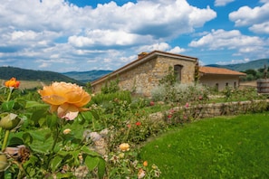 Villa | Garden view