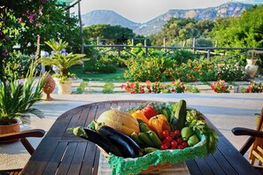 A wooden table with a basket of fresh vegetables and fruits, surrounded by potted plants and flowers, set against a scenic outdoor backdrop.