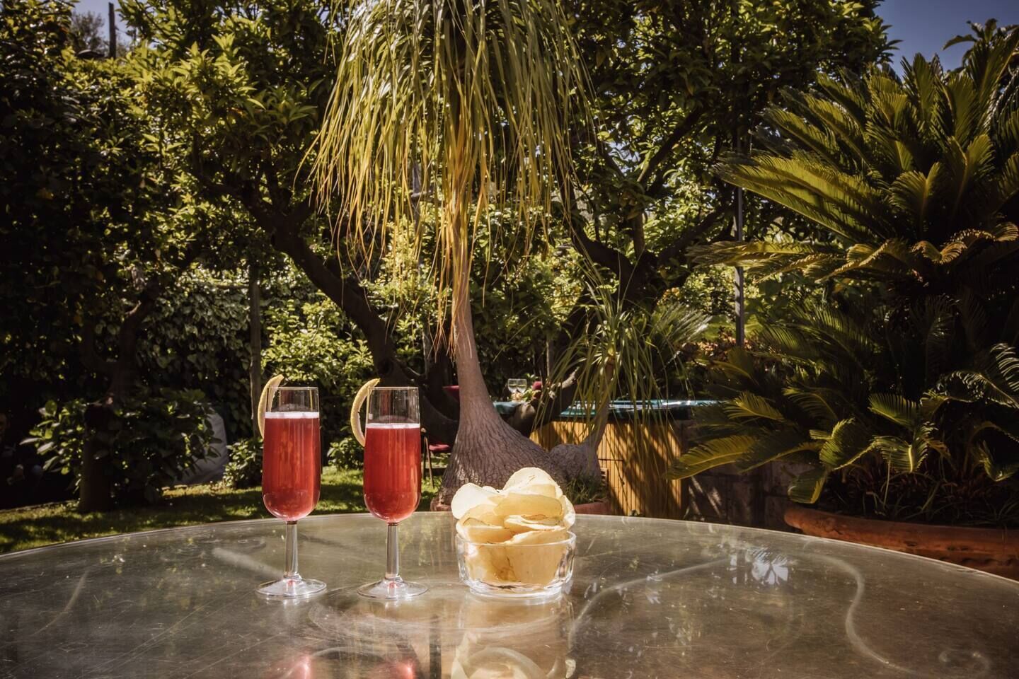 Une table en verre sur laquelle sont posés deux verres contenant une boisson rouge et un bol rempli de glaçons. La scène se déroule en plein air, avec une végétation luxuriante et des arbres en arrière-plan.