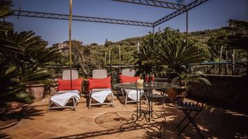 Vila | Teras/patio
