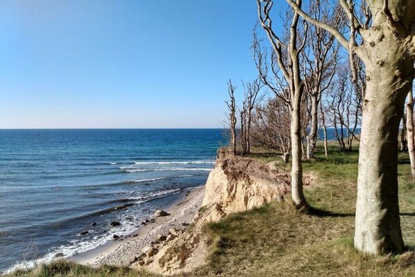 Beach - Sandpiper on Rügen - formerly TUI Ferienhaus (Dranske)