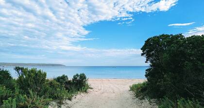 Nature's Embrace | The Pelican Cabin