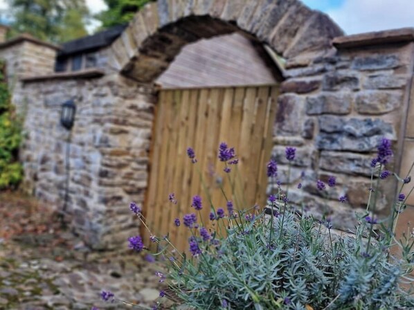 Exterior detail - Cosy Cottage in Alston • King Beds • Free Wi-Fi • Flat-Screen TV (Alston)