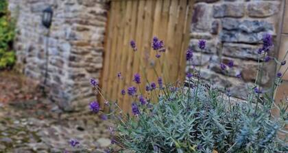 Cosy Cottage in Alston • King Beds • Free Wi-Fi • Flat-Screen TV