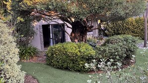 A well-maintained garden with a variety of shrubs and a lawn, a stone pathway, and a building with an open doorway. - Maison T2 Casa Alegria Peace and greenery in the heart of the Pyrénées-Orientales  (Joch)