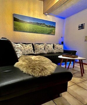 TV, fireplace, DVD player, stereo