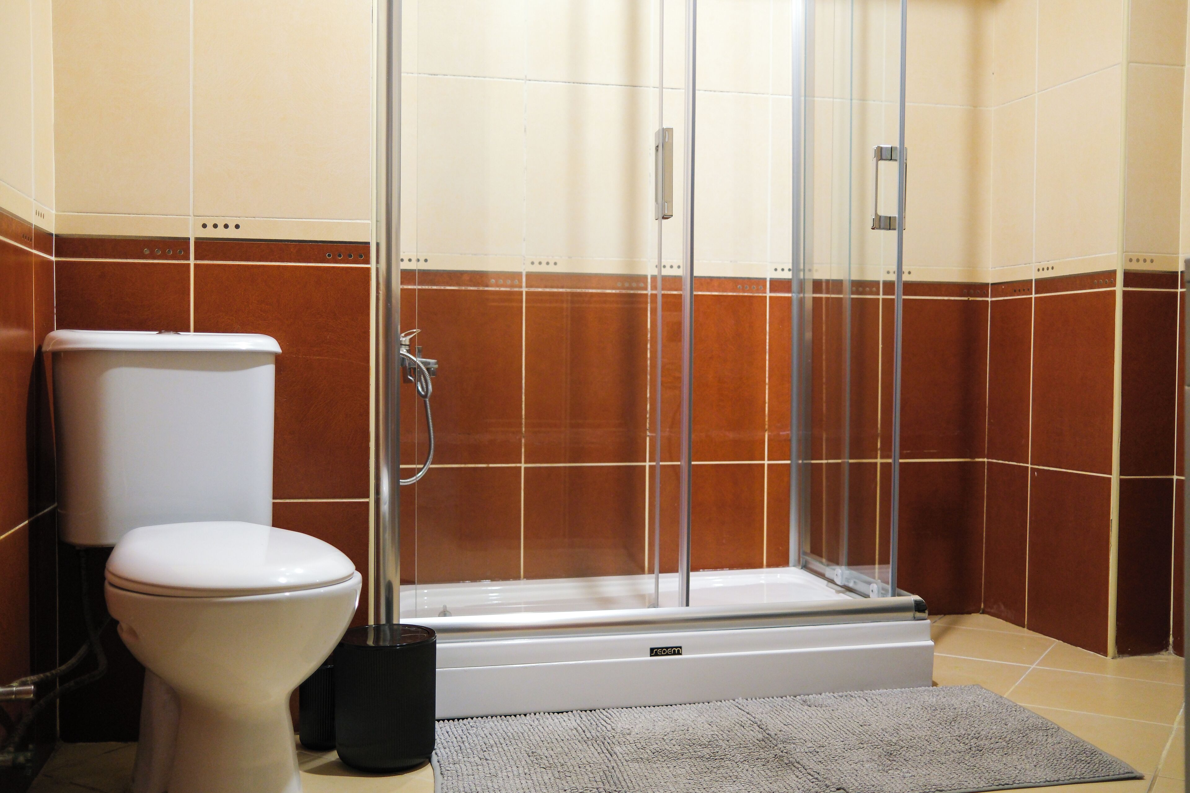 Haartrockner, Bidet, Handtücher, Seife