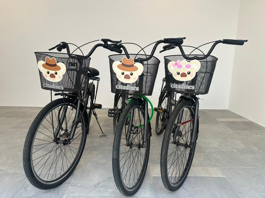 Three bicycles with baskets, each featuring a bear design and the word "citadines".