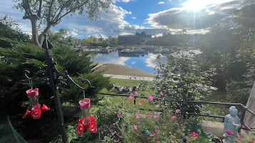 Vista desde la propiedad