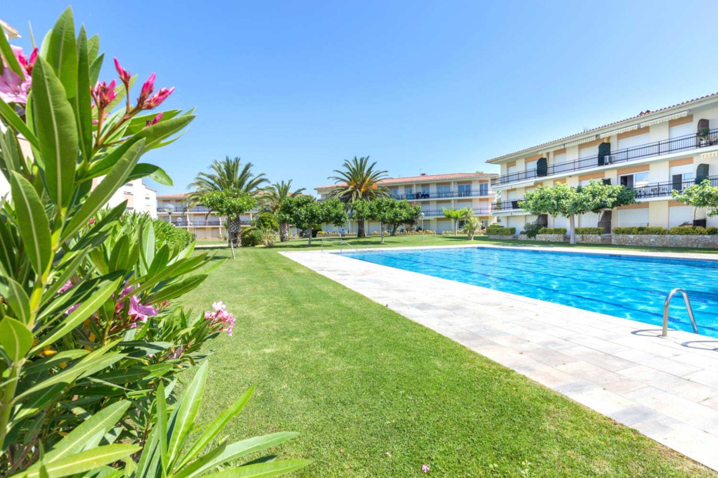 A swimming pool with a tiled deck, surrounded by well-maintained grass and palm trees.