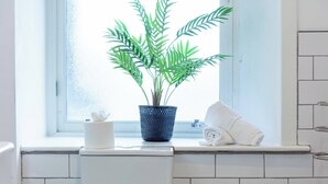 A bathroom with a window, a potted plant, a toilet paper holder, and a towel on the windowsill. - The Annick Suite No.1 (Irvine)