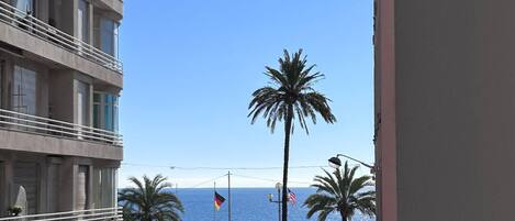 A street view with a building on the left, a palm tree, and a clear blue sky.