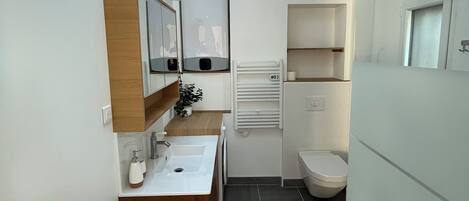 Regadera, toallas, jabón, papel de baño