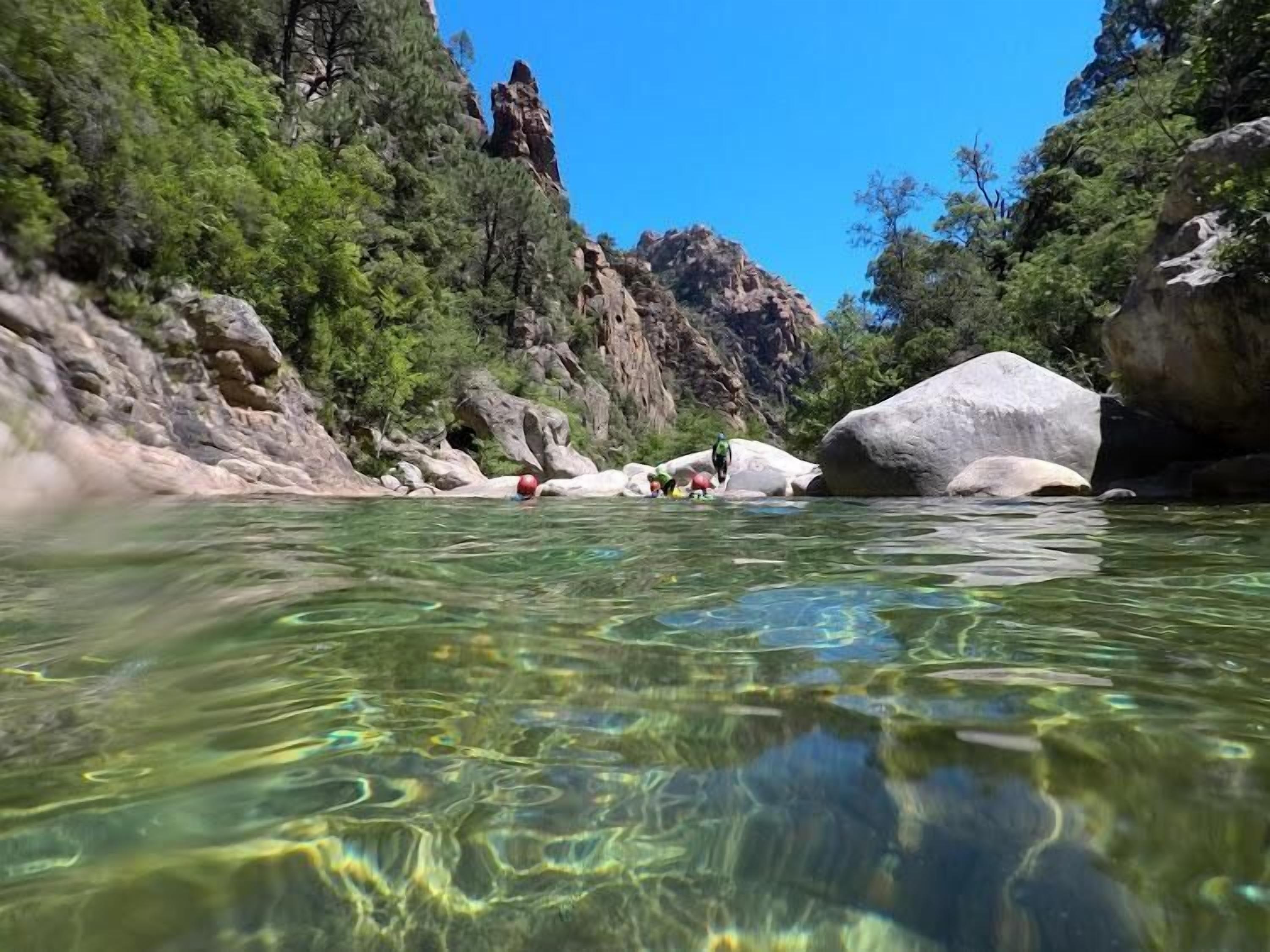 A clear river with rocks and trees.