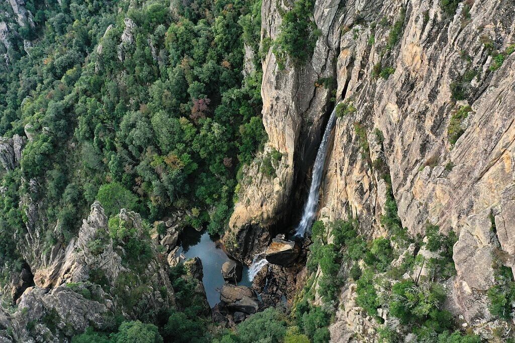 Una cascada se precipita por un acantilado empinado rodeado de un bosque denso.
