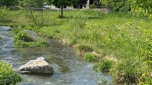 A house with a red roof, surrounded by lush greenery and a clear stream.