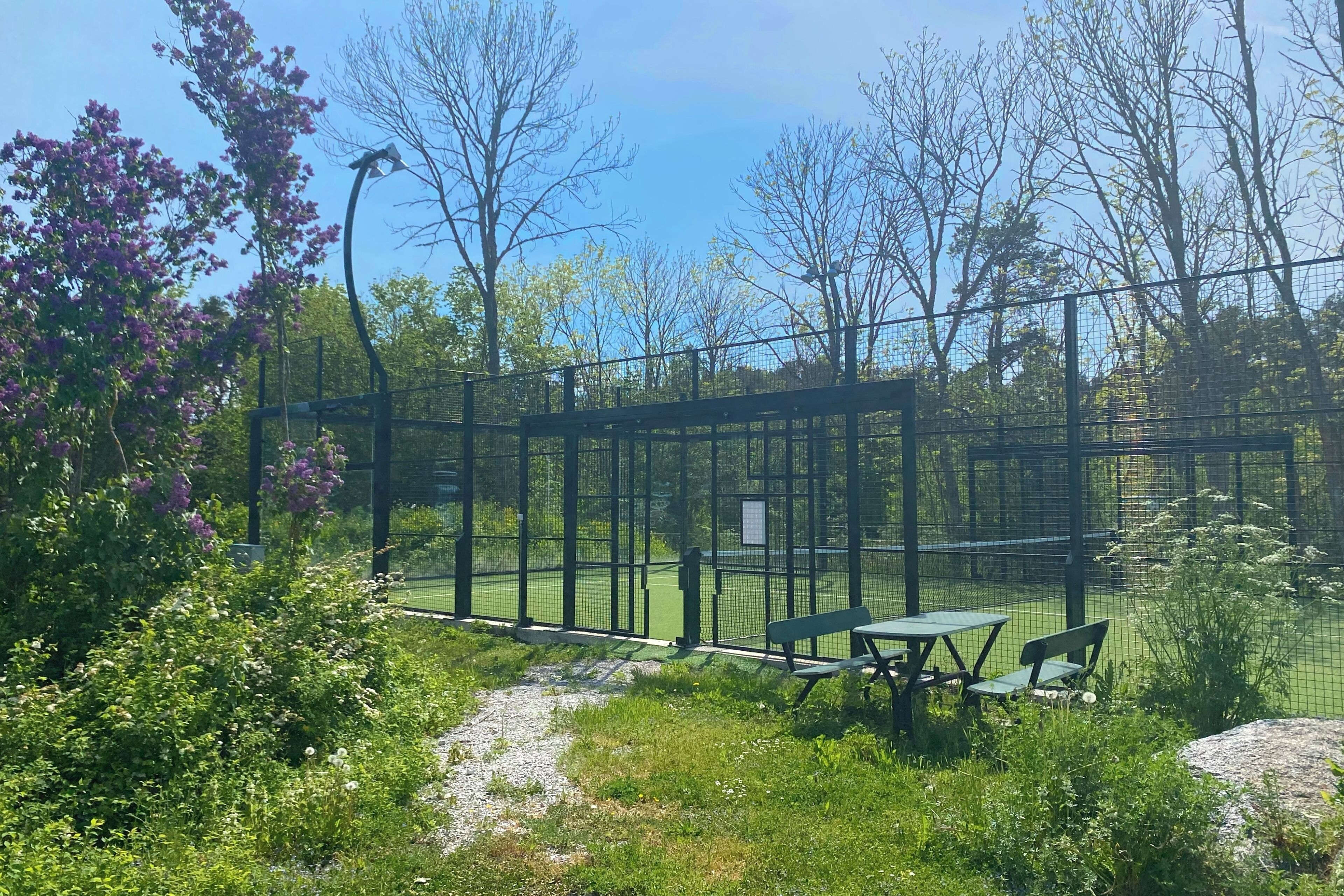 A fenced tennis court with a picnic table and benches, surrounded by greenery and trees.