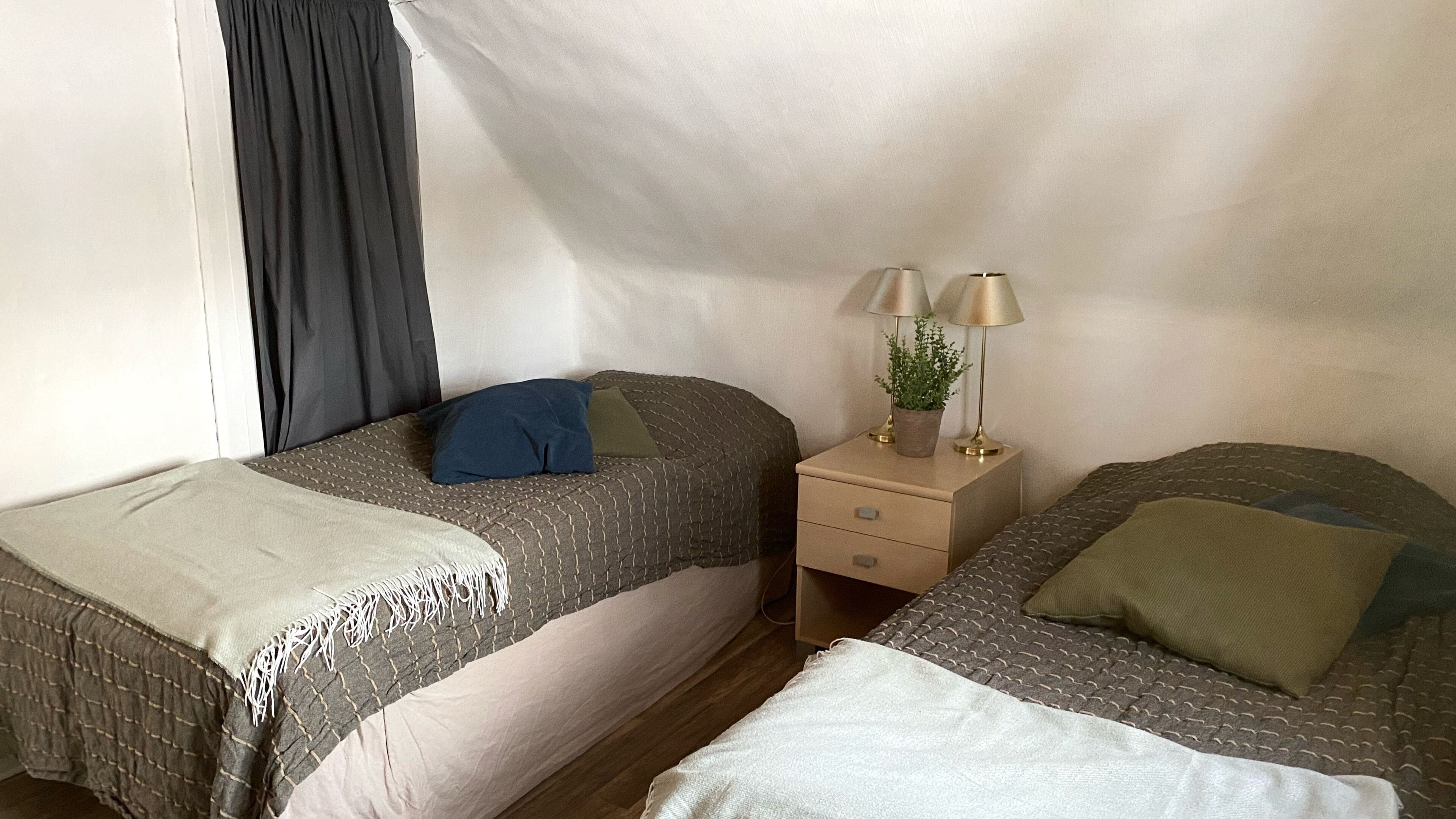 A bedroom with two beds, a nightstand with lamps, and a potted plant.