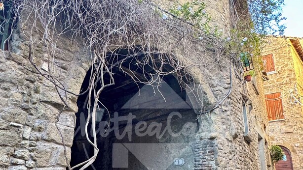 A stone building with a black door and a small window. There are potted plants in front of the door. - The Tower "UnaNotteaCasaMia" (Sacrofano)