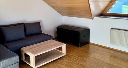 Modern, spacious apartment with a great view