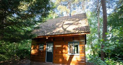 Cozy and comfortable vacation home by the meadow