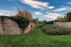 Property grounds - Charming vineyard house (Bergheim)