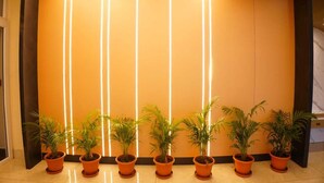 Eine Lobby mit einer Reihe von Topfpflanzen und vertikalen Lichtleisten an der Wand.