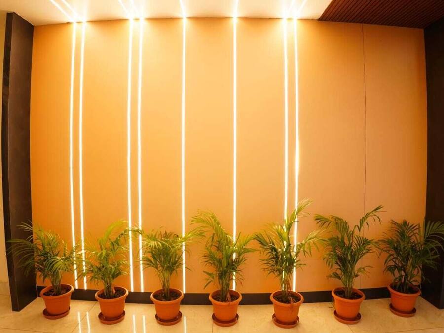 Un vestíbulo con una fila de macetas y franjas de luz verticales en la pared.